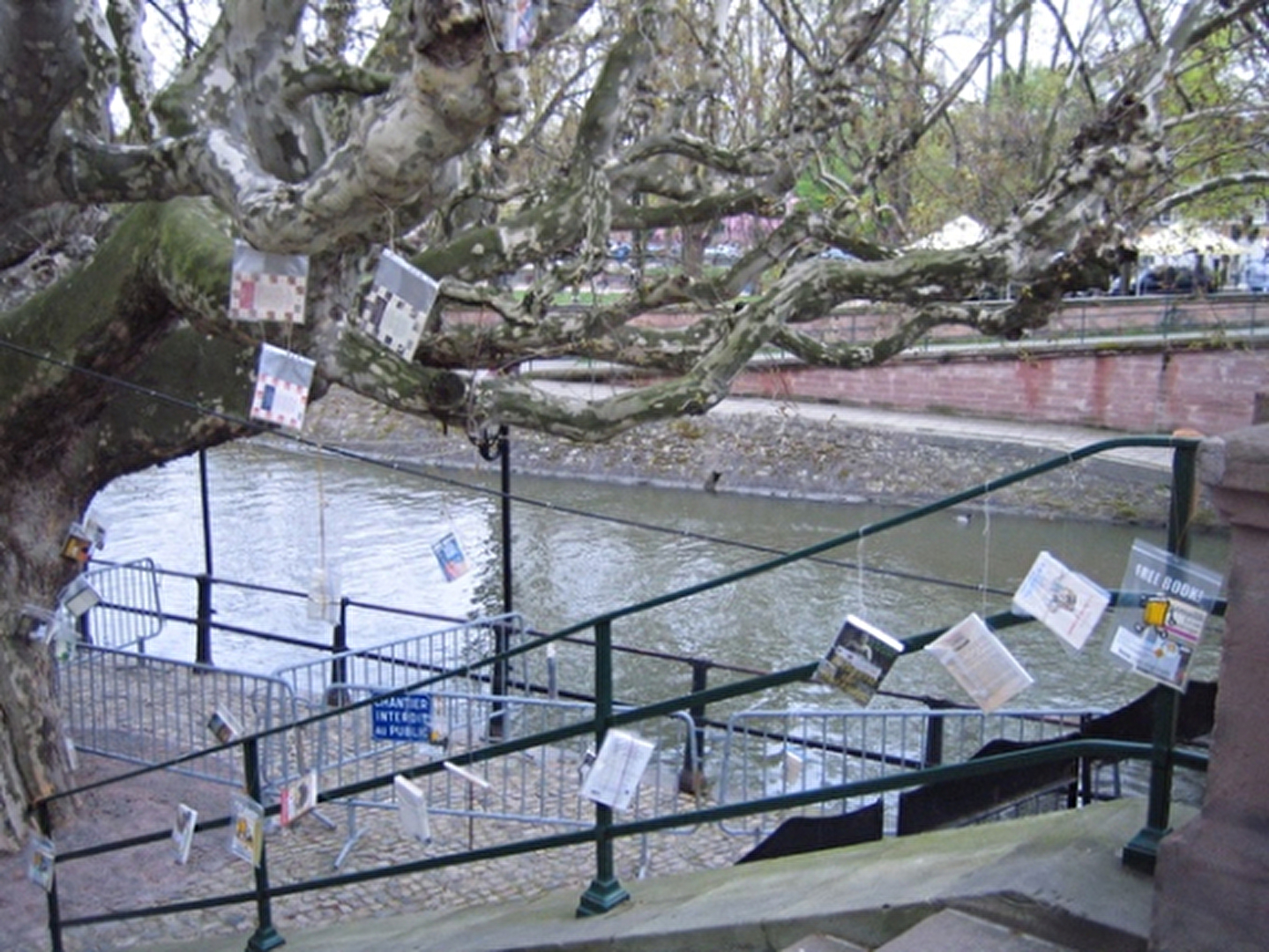 bookcrossing