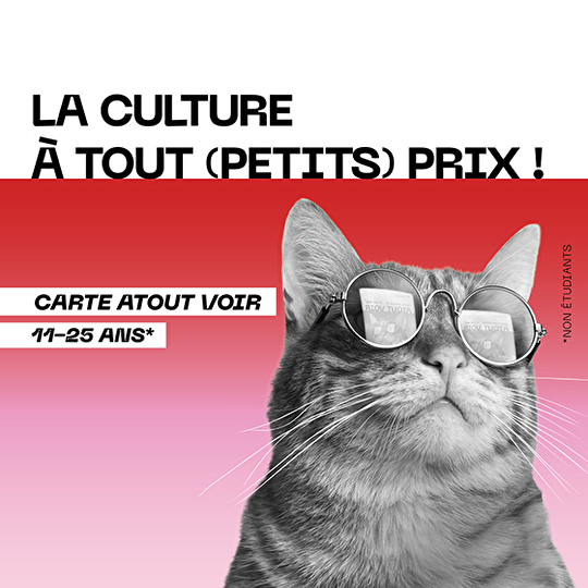 Carte Atout Voir (11-25 ans, non étudiants) : La Culture à (tout) petits prix !