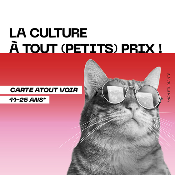 Carte Atout Voir (11-25 ans, non étudiants) : La Culture à (tout) petits prix !
