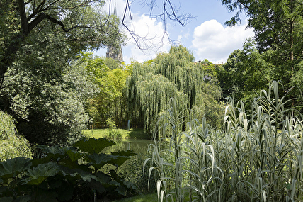 Jardin Botanique