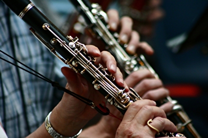 Image d'instrument de musique (flûtes)