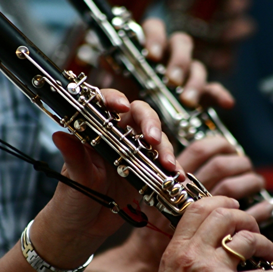 Image d'instrument de musique (flûtes)
