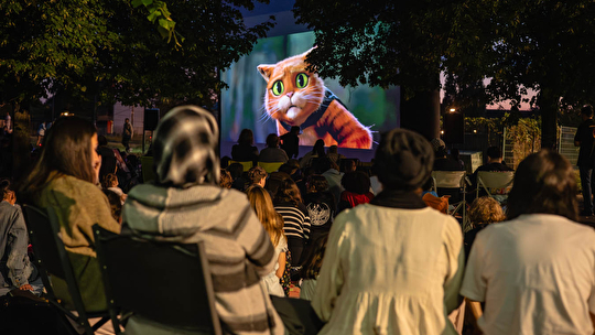 Outdoor cinema in Strasbourg and in the towns of the Eurometropolis.