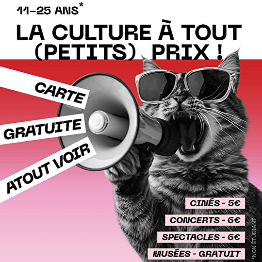 Carte Atout Voir : La culture à tout (petits) prix ! Carte gratuite Atout voir pour les 11-25 ans non étudiants. Concerts et spectacles à 6 euros, ciné à 5 euros, musées gratuits