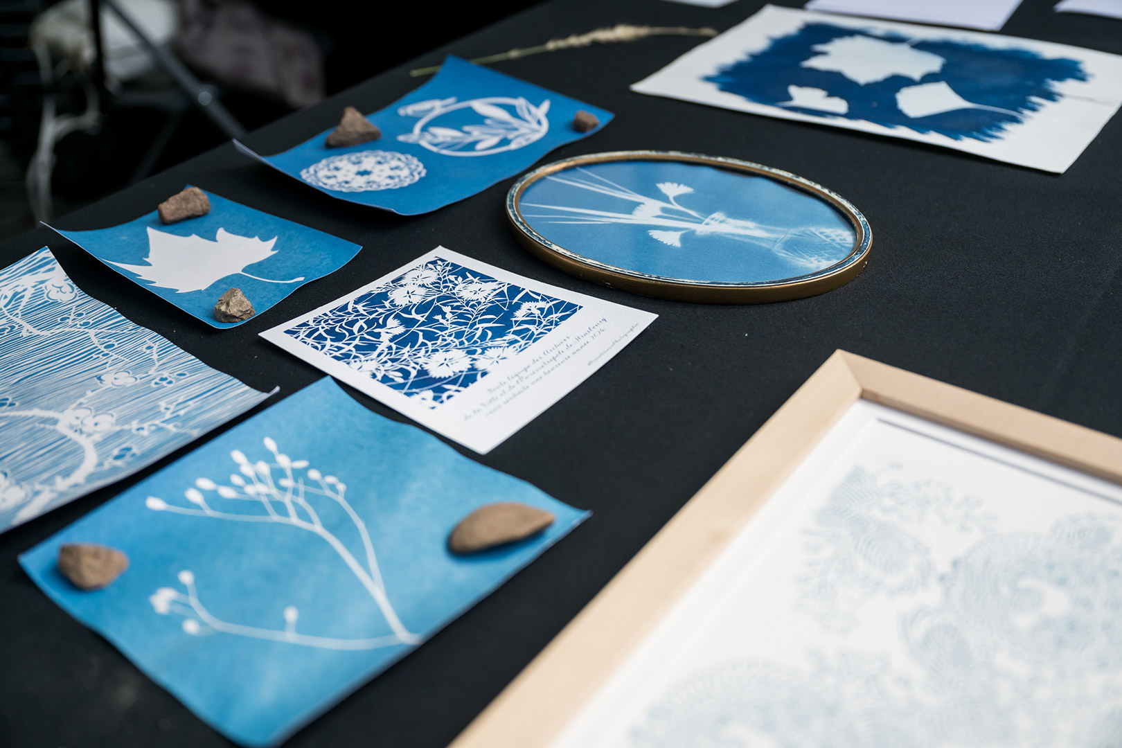Strasculture 2026 : Cyanotype sur le stand des Archives de Strasbourg